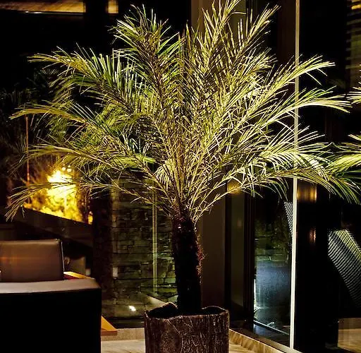 Armona Medical Alpinresort 리조트 티어제