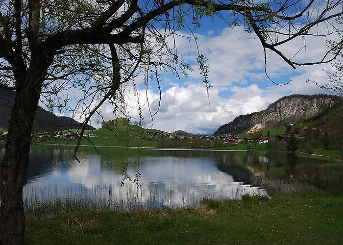 Armona Medical Alpinresort 4* 티어제