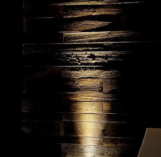 Armona Medical Alpinresort 티어제