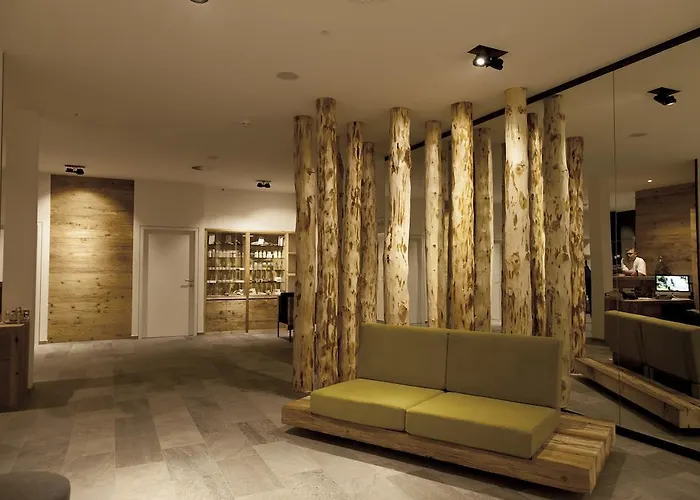 Armona Medical Alpinresort 티어제